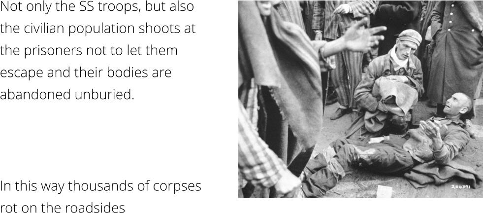 Not only the SS troops, but also  the civilian population shoots at  the prisoners not to let them  escape and their bodies are  abandoned unburied. In this way thousands of corpses rot on the roadsides