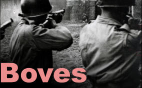 Boves