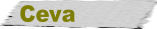 Ceva