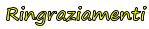 Ringraziamenti