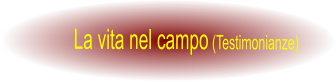 La vita nel campo (Testimonianze)