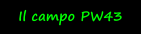 Il campo PW43